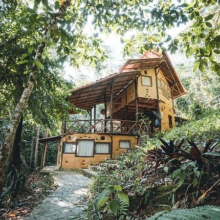 Chirapa Manta Amazon Lodge Lamas Ngoại thất bức ảnh