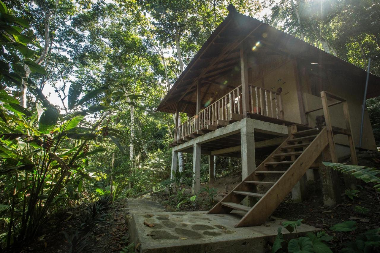 Chirapa Manta Amazon Lodge Lamas Ngoại thất bức ảnh