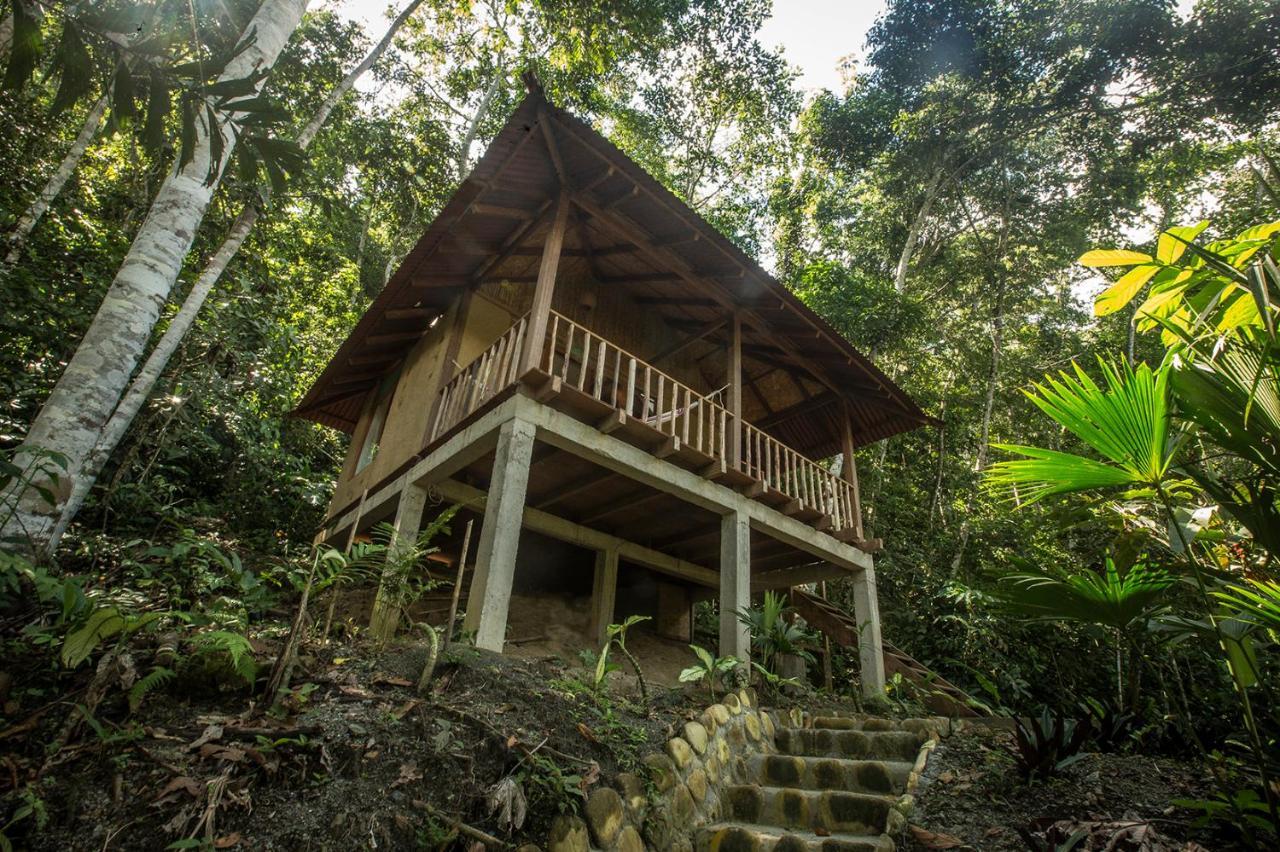 Chirapa Manta Amazon Lodge Lamas Ngoại thất bức ảnh
