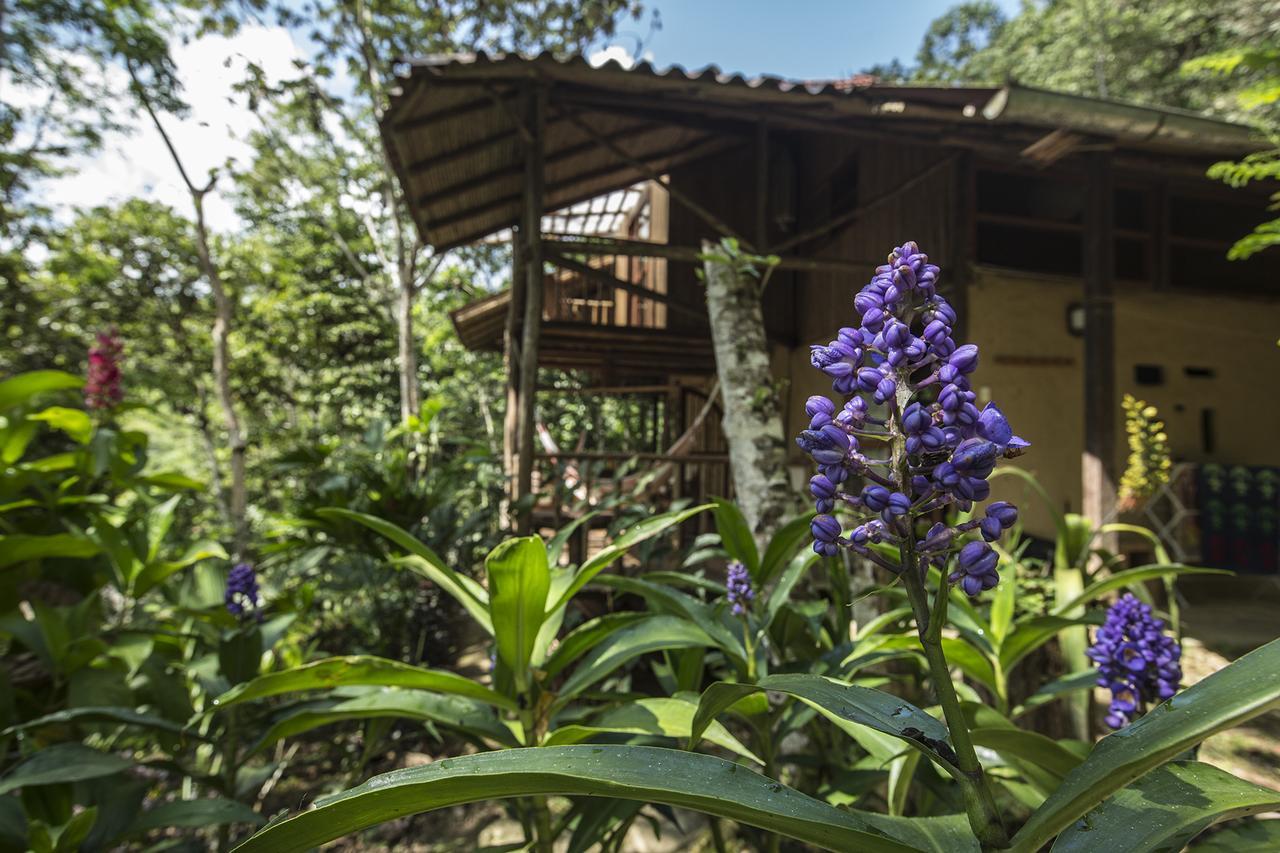 Chirapa Manta Amazon Lodge Lamas Ngoại thất bức ảnh