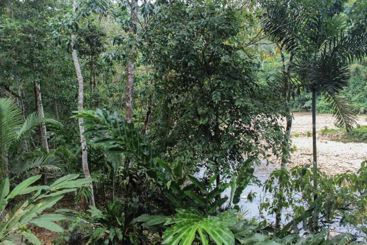 Chirapa Manta Amazon Lodge Lamas Ngoại thất bức ảnh