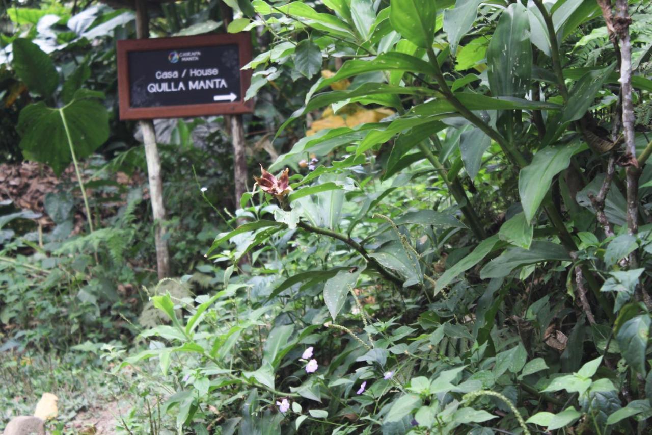 Chirapa Manta Amazon Lodge Lamas Ngoại thất bức ảnh